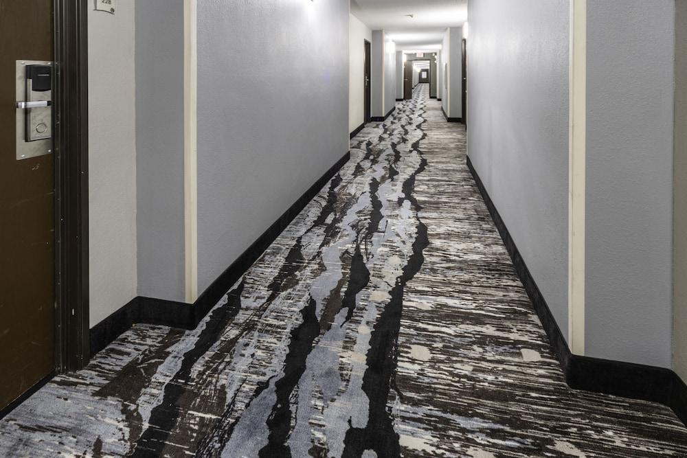 Quality Inn & Suites Danville Zewnętrze zdjęcie